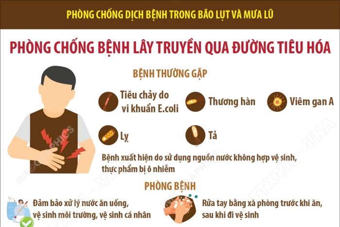 [Infographic] Phòng chống dịch bệnh trong bão lụt và mưa lũ: Phòng chống bệnh lây truyền qua đường tiêu hóa