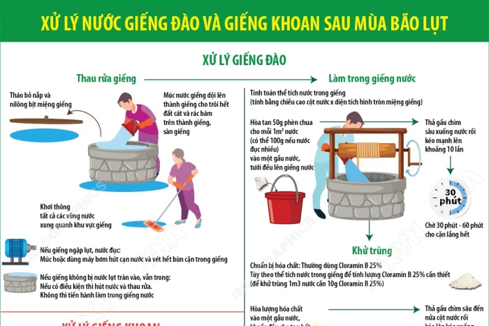 [Infographic] Xử lý nước giếng đào và giếng khoan sau mùa bão lụt