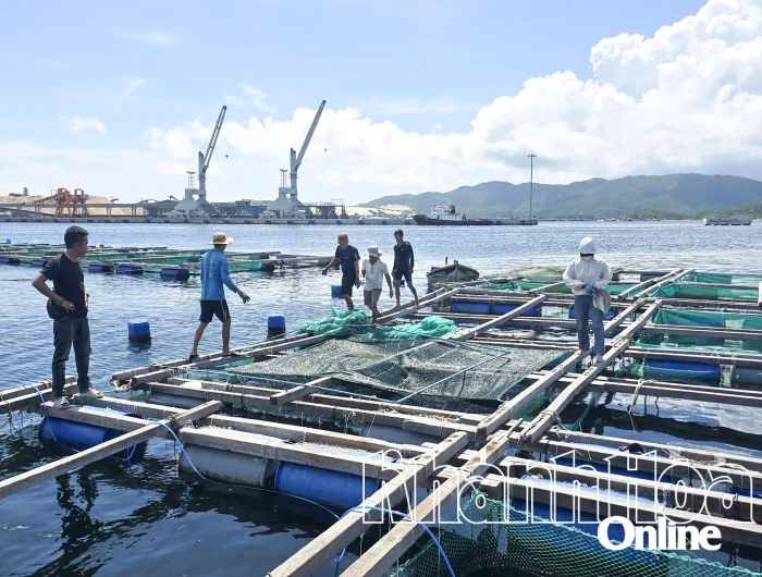 Xã Đại Lãnh yêu cầu người dân không ở lại lồng bè khi có lệnh di dời 
