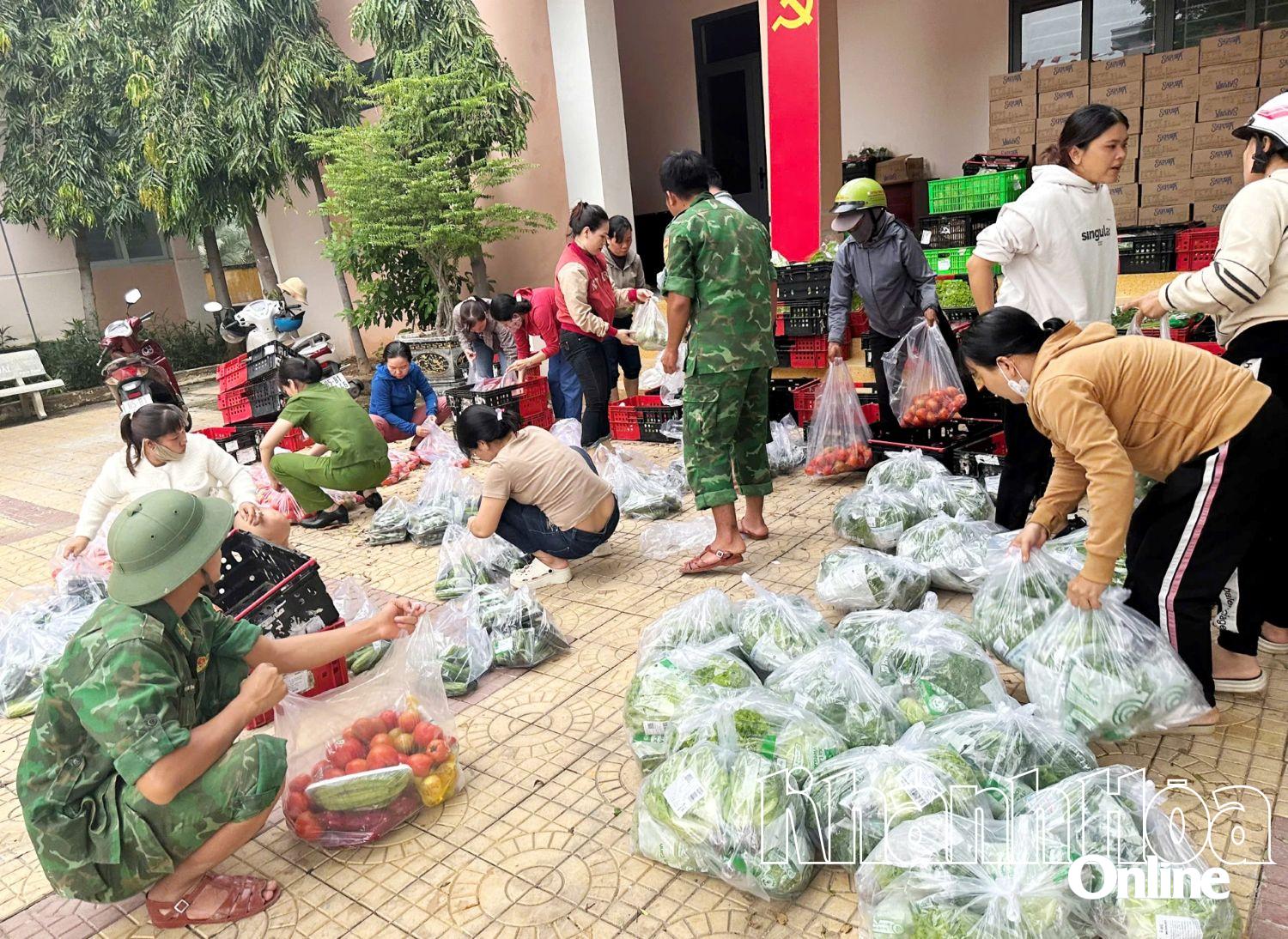 Các lực lượng chức năng phường Đông Hải phân loại rau củ tặng người dân vùng xung yếu, ngập lụt.