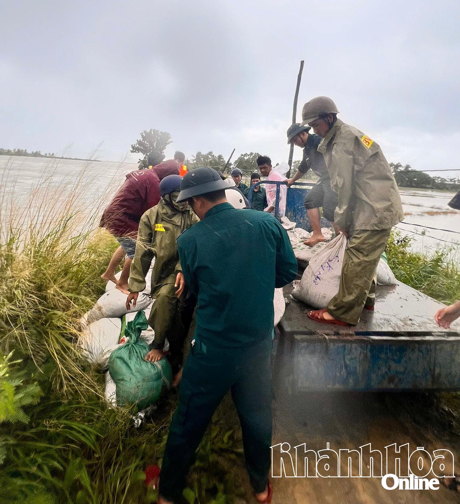 Các lực lượng gia cố đê.