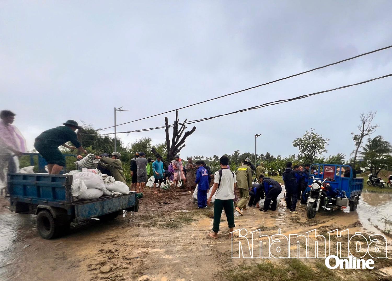 Lực lượng chức năng và Nhân dân vận chuyển bao cát để gia cố đê khu vực cầu Sông Gốc.