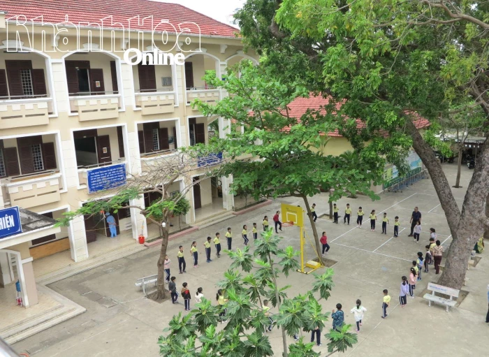 Gần 96.800 cây xanh được trồng mới trong trường học