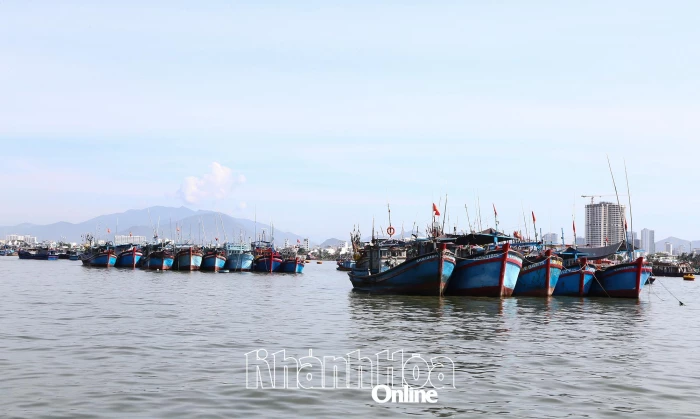 Bảo đảm điều kiện an toàn cho tàu, thuyền vào neo đậu, tránh trú bão Kalmaegi