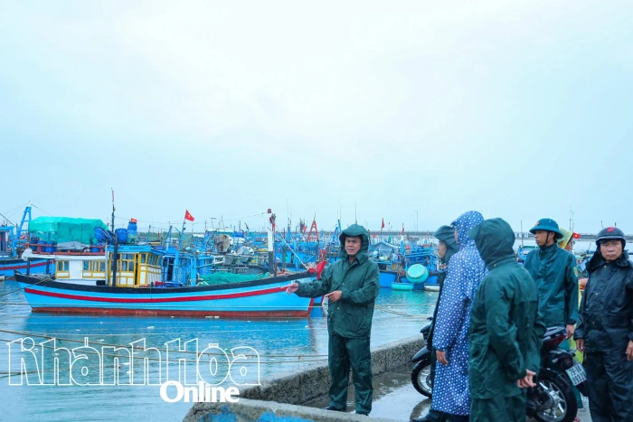 Đại tá Nguyễn Túy - Chỉ huy trưởng Bộ Chỉ huy Quân sự tỉnh kiểm tra công tác ứng phó với bão tại khu vực Ninh Hòa, Vạn Ninh