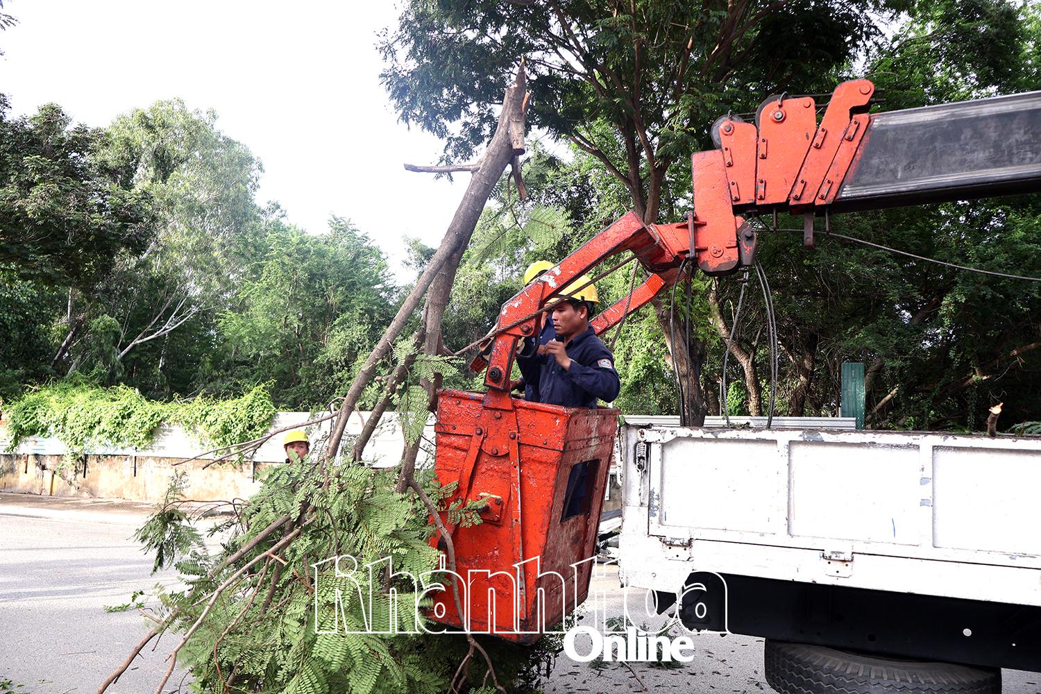 Công nhân rong tỉa cây xanh.