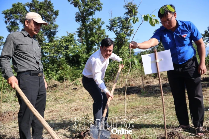 Ngành Nông nghiệp và Môi trường tổ chức trồng 300 cây gỗ hương tại xã Tây Ninh Hòa 
