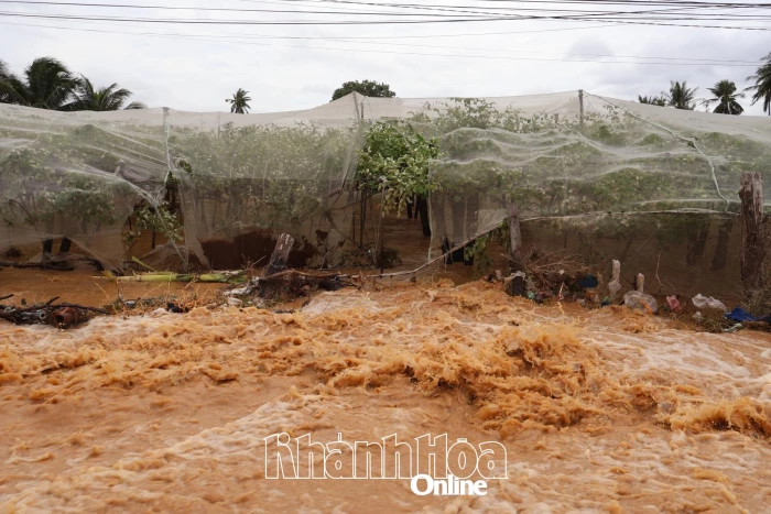 Vào vùng ngập lụt phía nam Khánh Hòa 
