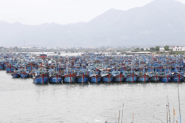 Khẩn trương kêu gọi tàu thuyền tránh trú bão