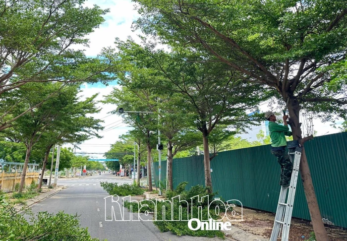 Phường Ninh Chử chủ động phòng, chống bão 