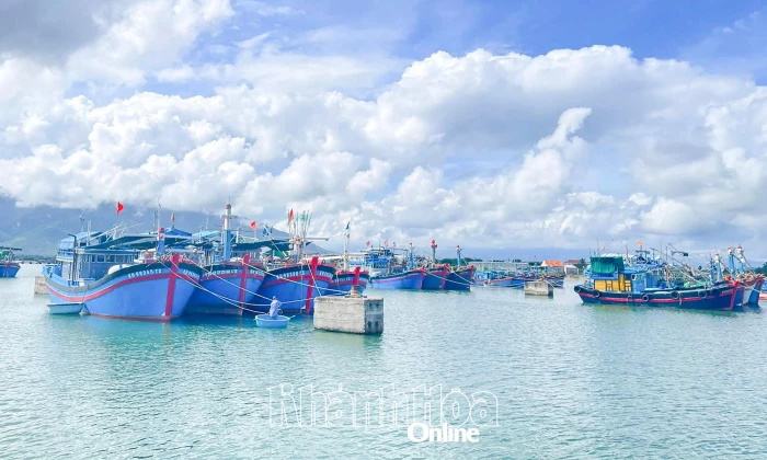 Cảng cá kết hợp khu neo đậu tránh trú bão Ninh Hải đã được công bố mở cảng cá