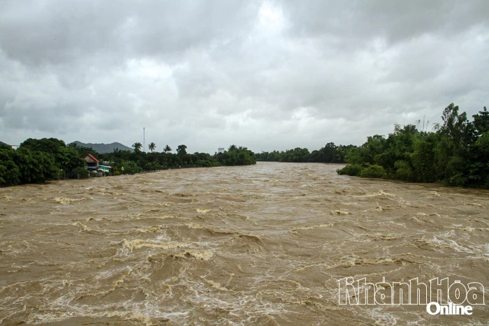 Mưa lớn, cảnh báo lũ trên các sông