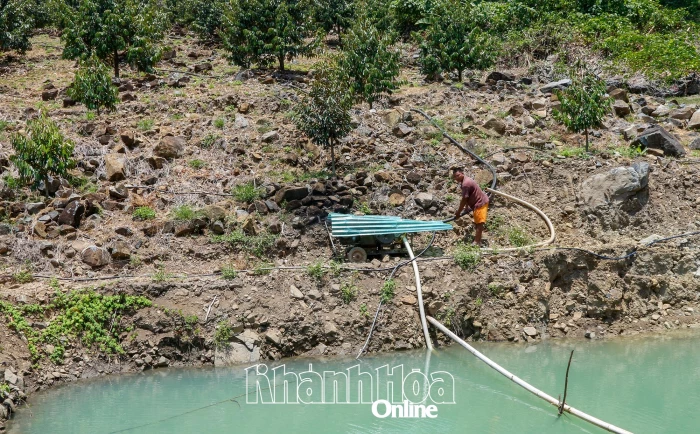 Xã Tây Khánh Sơn yêu cầu người dân không tích nước tại các ao hồ để  ứng phó bão số 13