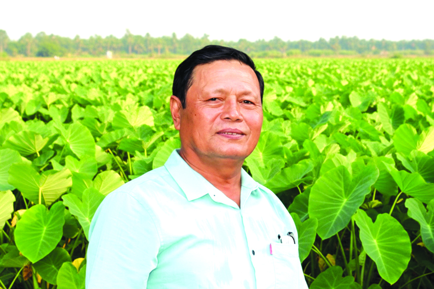 Ông Trần Hậu Bình - Giám đốc Hợp tác xã Nông nghiệp Vạn Phú 3 (xã Vạn Ninh): Phát triển mạnh kinh tế nông nghiệp số, nông nghiệp thông minh, xanh và tuần hoàn