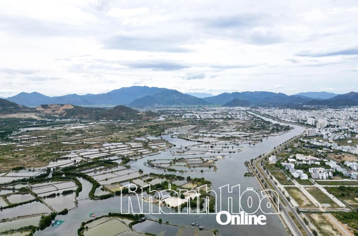 Phường Nha Trang: Yêu cầu hoàn thành một số biện pháp ứng phó với bão trước ngày 5-11