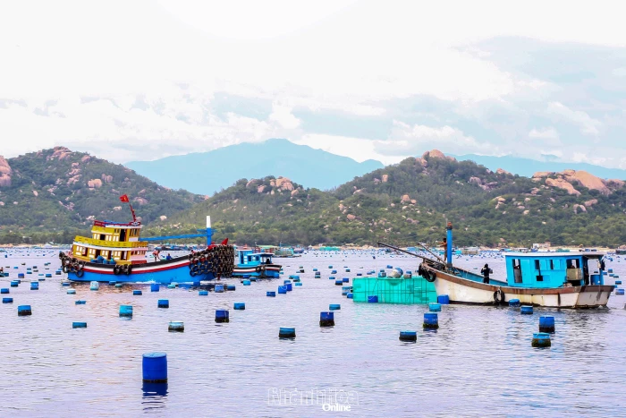 Siết chặt quản lý tàu cá dưới 6m