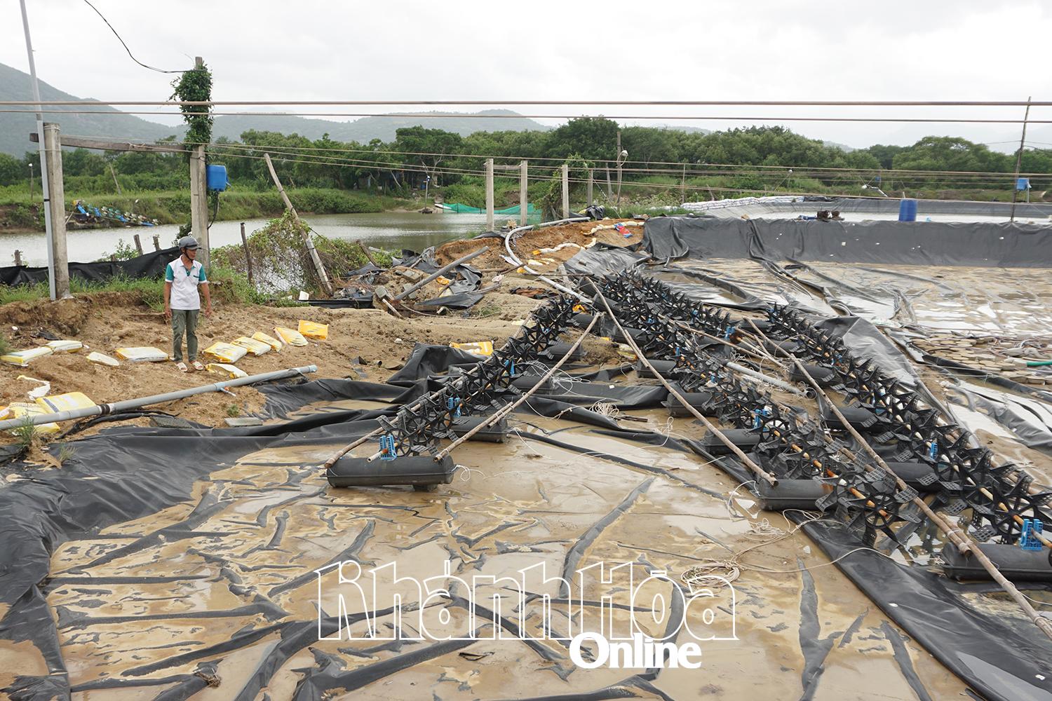 Một đìa nuôi tôm bị vỡ, mất trắng của người dân thôn Hiệp Mỹ.