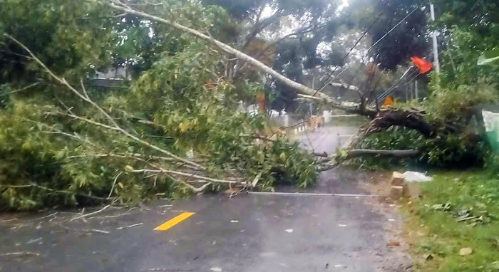 Tạm cấm Tỉnh lộ 9, di dời hơn 600 hộ dân vùng xung yếu đến nơi an toàn