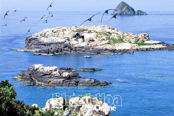 Giải pháp bảo vệ đàn chim yến