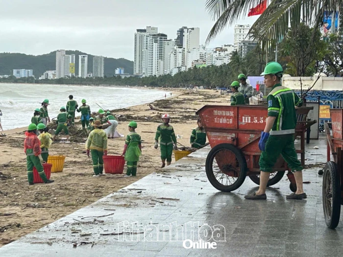 Nỗ lực thu dọn rác dạt vào bờ biển Nha Trang