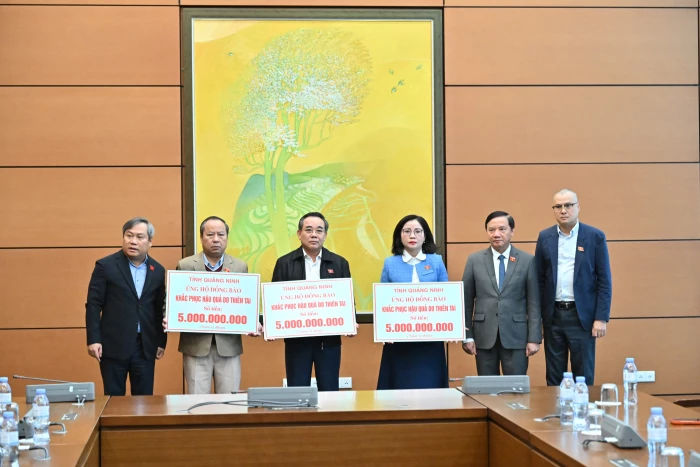 Top 10 trung tâm tiếng Nhật tại Khánh Hòa (sáp nhập Ninh Thuận – Khánh Hòa) - Địa chỉ học tiếng Nhật tin cậy, giúp bạn chinh phục tiếng Nhật dễ dàng hơn