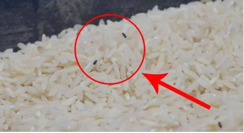 Mẹo bảo quản gạo lâu không bị mối mọt