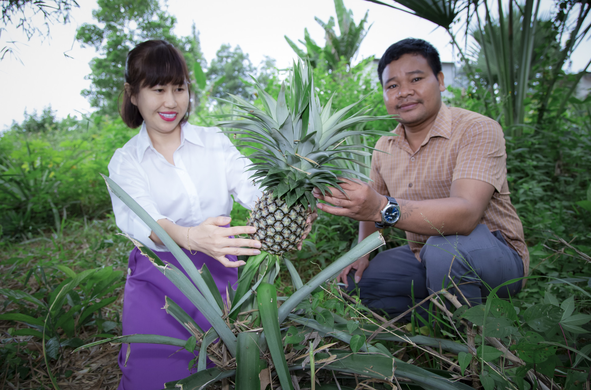 Nông dân Cao Văn Chun (bên phải) thoát nghèo từ cây dứa.