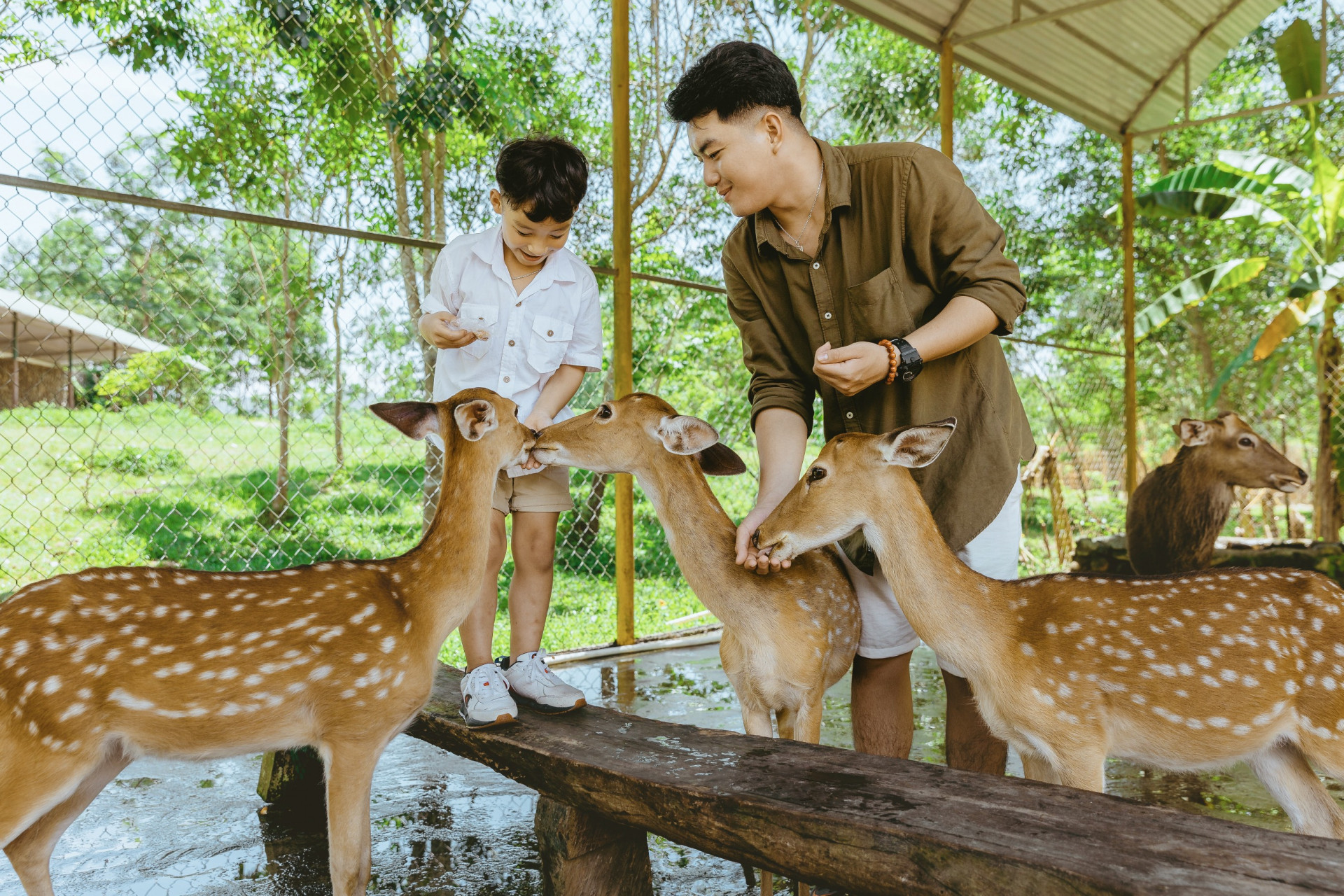 Đến với Yang Bay khách phương xa sẽ chạm đến thiên nhiên gần gũi