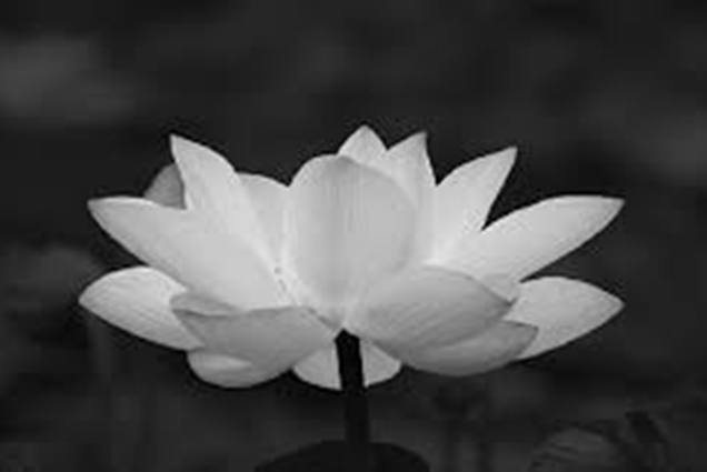 Lời cảm tạ của gia đình cụ Phạm Thị Quýnh