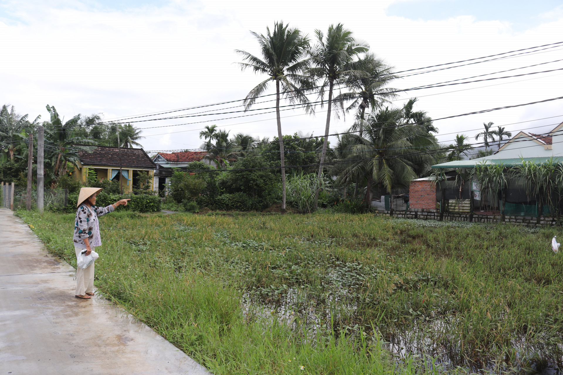 Thửa đất nông nghiệp UBND xã Ninh Phú hoán đổi cho bà Cao Thị Trâm. 