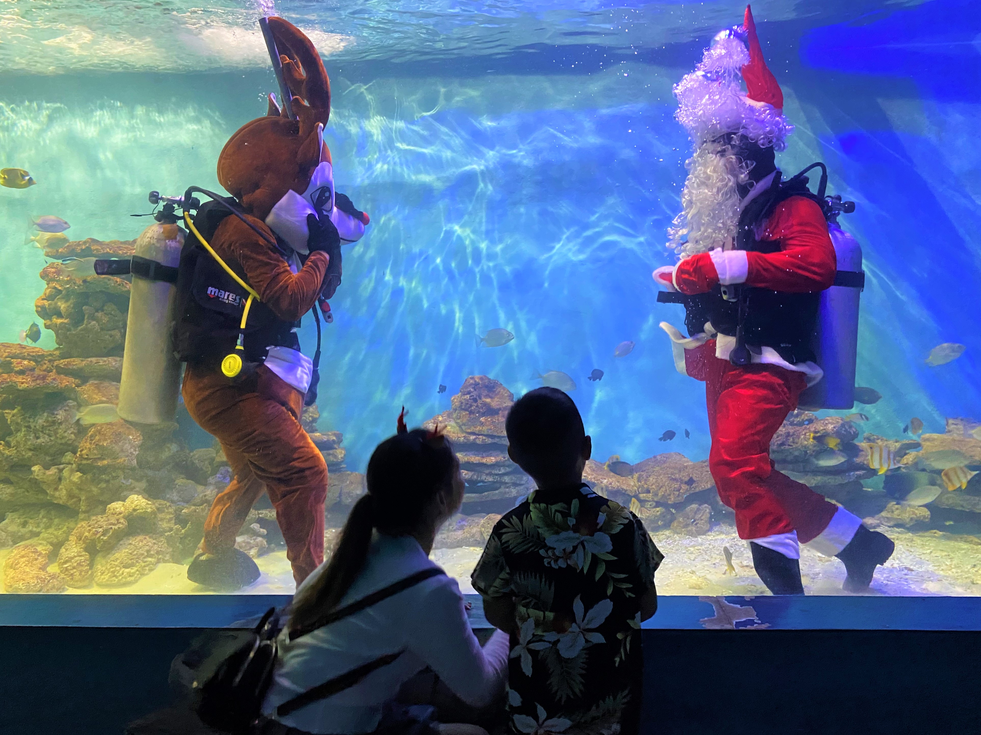 Đặc sắc màn trình diễn dưới nước của ông già Noel