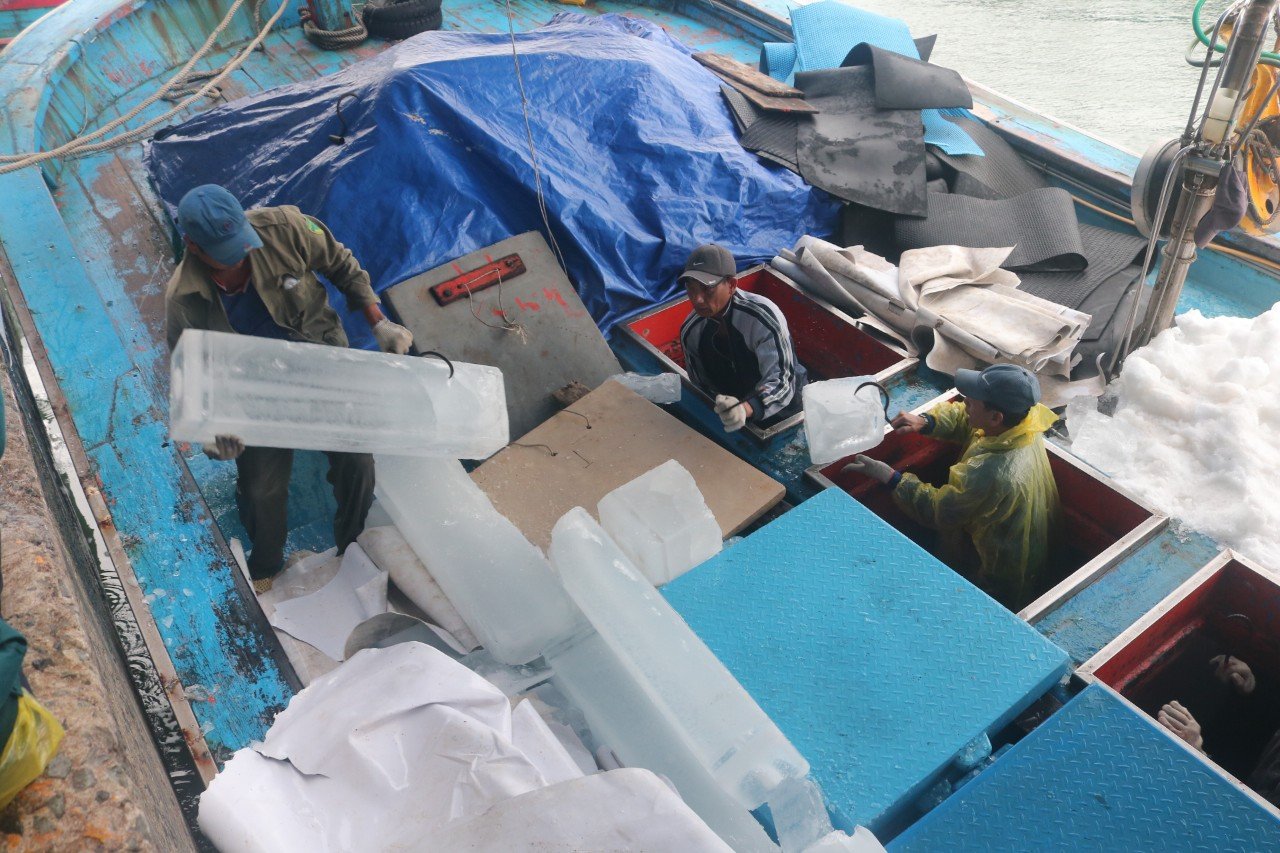 Ngư dân cập cảng Hòn Rớ tiếp đá lạnh để bảo quản hải sản trong quá trình khai thác