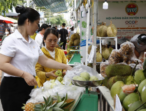 Chương trình mục tiêu quốc gia phát triển kinh tế - xã hội vùng đồng bào dân tộc thiểu số và miền núi tỉnh Khánh Hòa năm 2023: Phiên chợ nông sản: Đặc sản miền núi ở phố biển