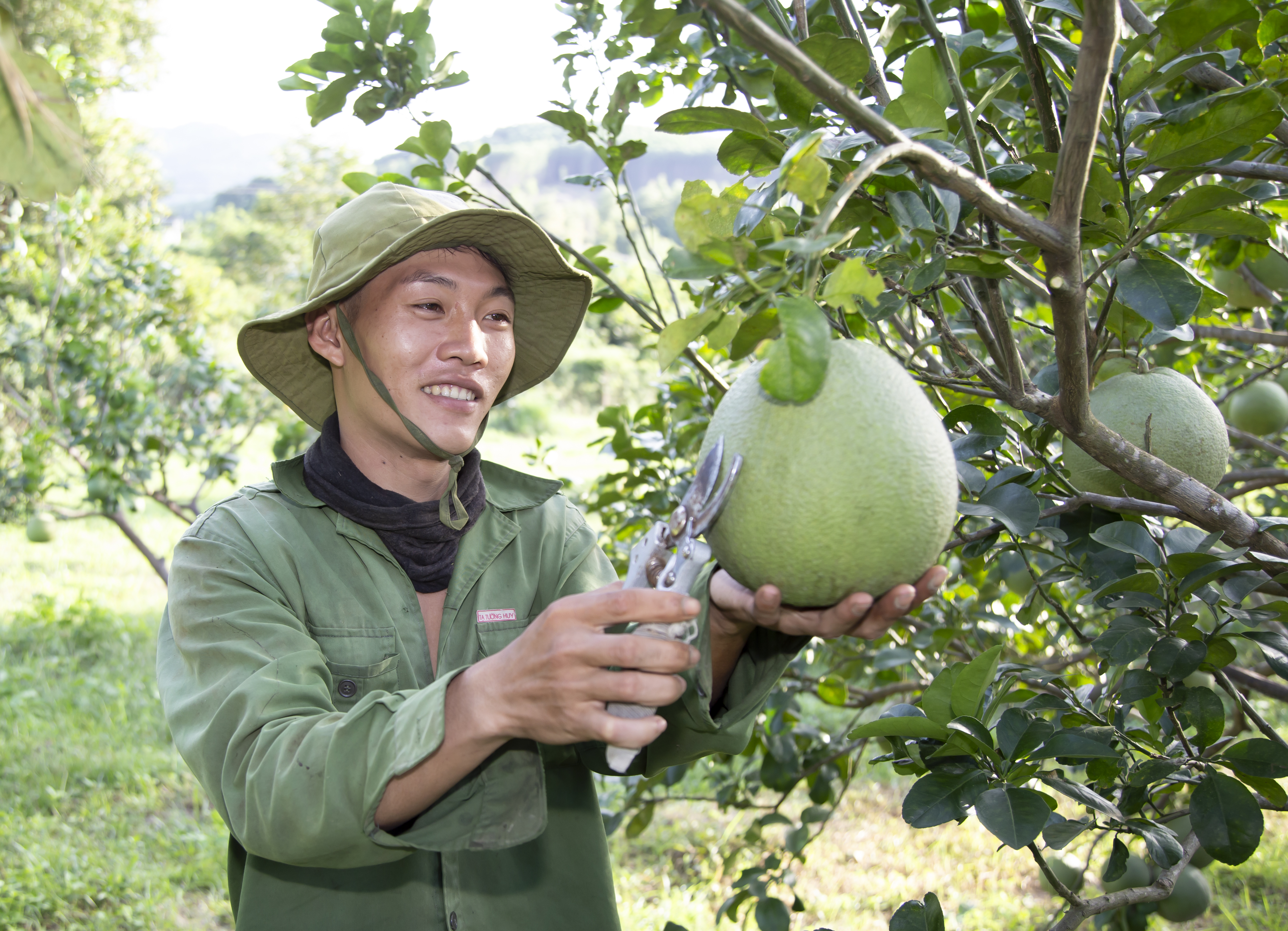 Người dân ở xã Ninh Tân chăm lo phát triển kinh tế
