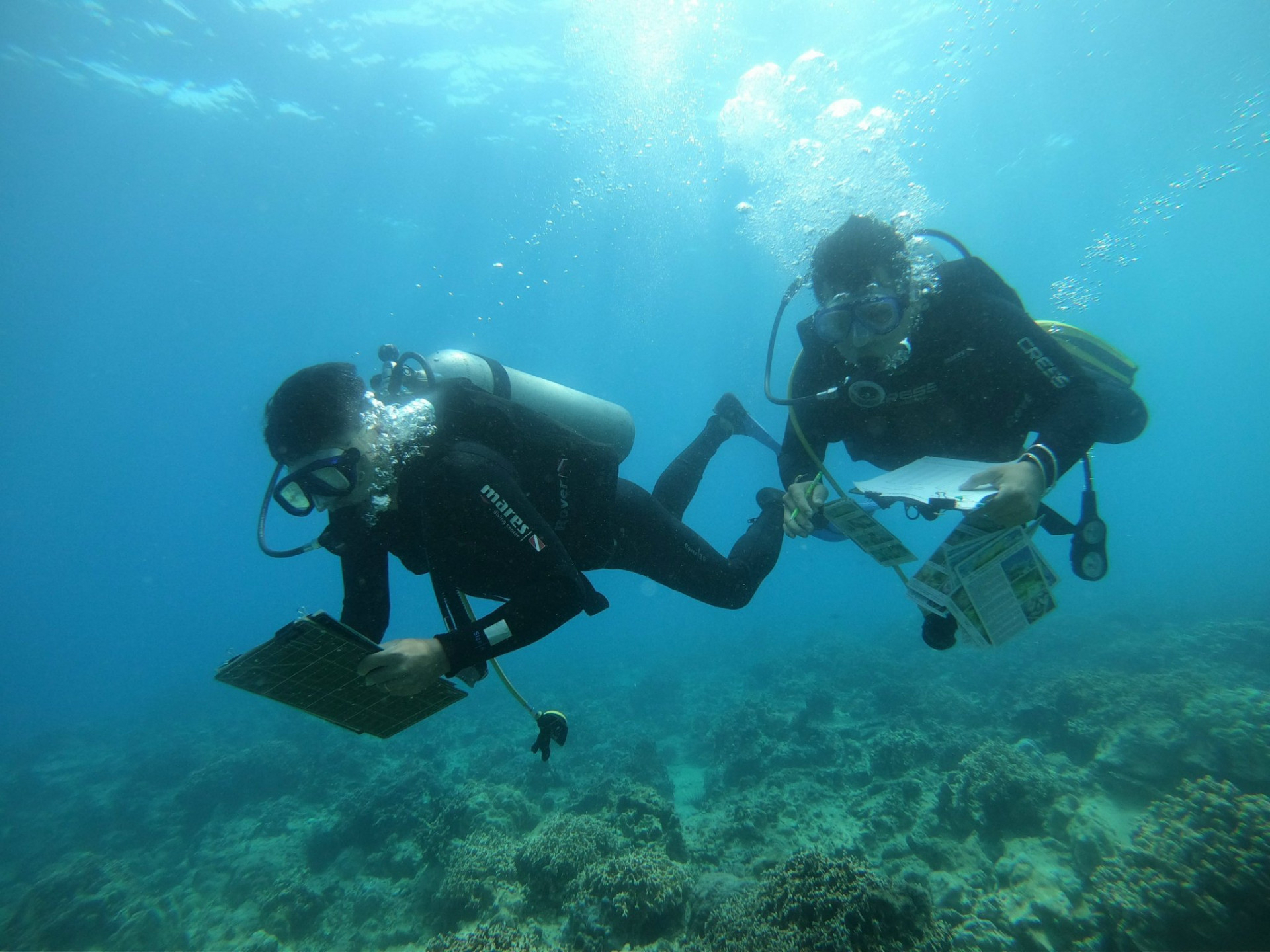 Nhóm thợ lặn Ban Quản lý vịnh Nha Trang kiểm tra sự phục hồi san hô (Ảnh T. Thịnh)