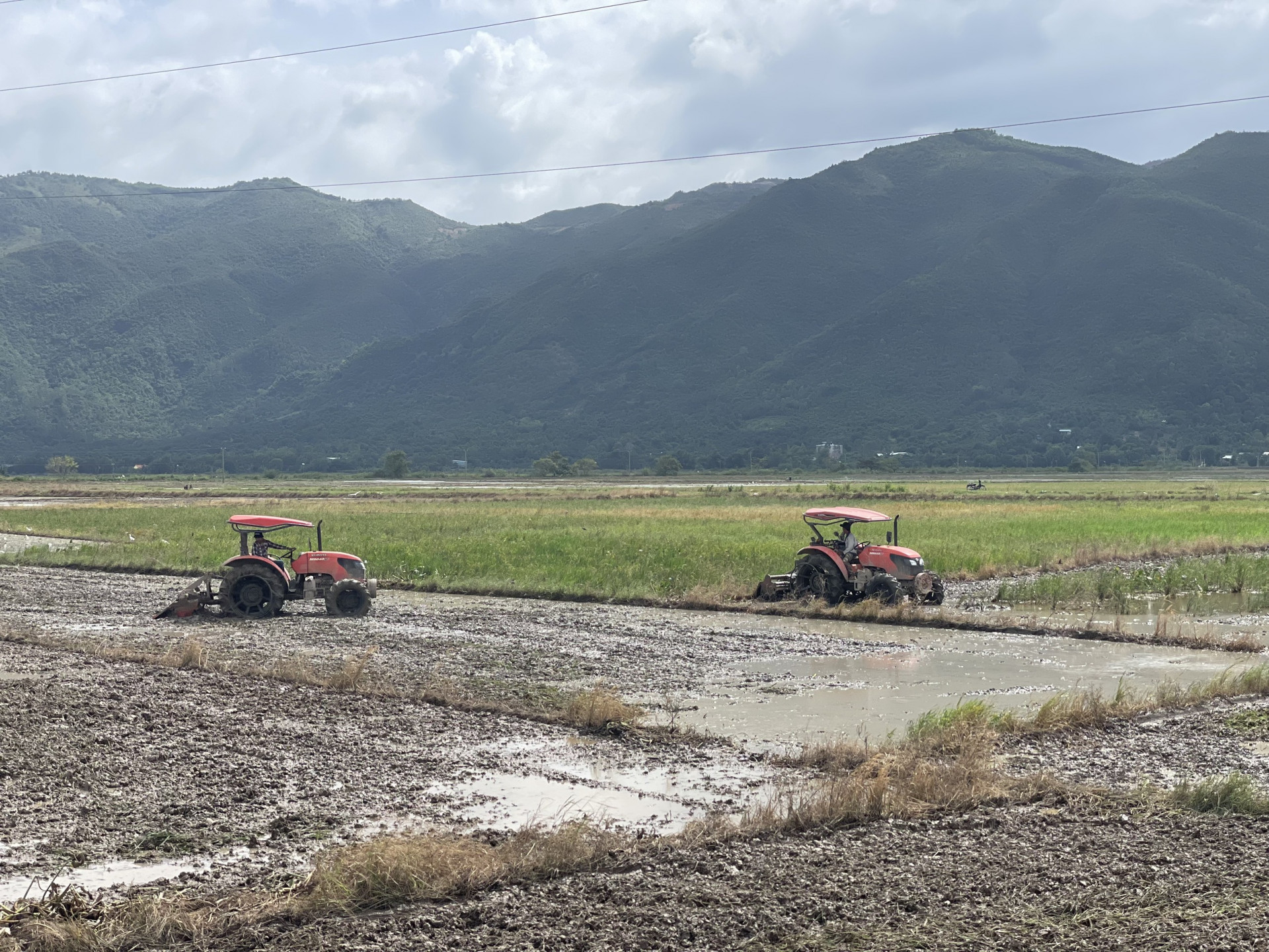 Nông dân huyện Diên Khánh chuẩn bị sản xuất lúa vụ mới.