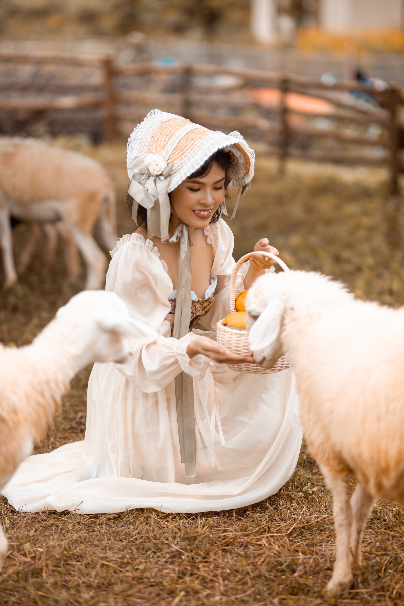 Trải nghiệm chăn cừu tại Ninh Tây