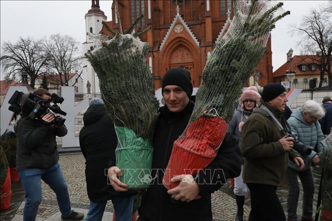 Người dân mua cây thông Noel tại Bialystok, Ba Lan. Ảnh: PAP/TTXVN