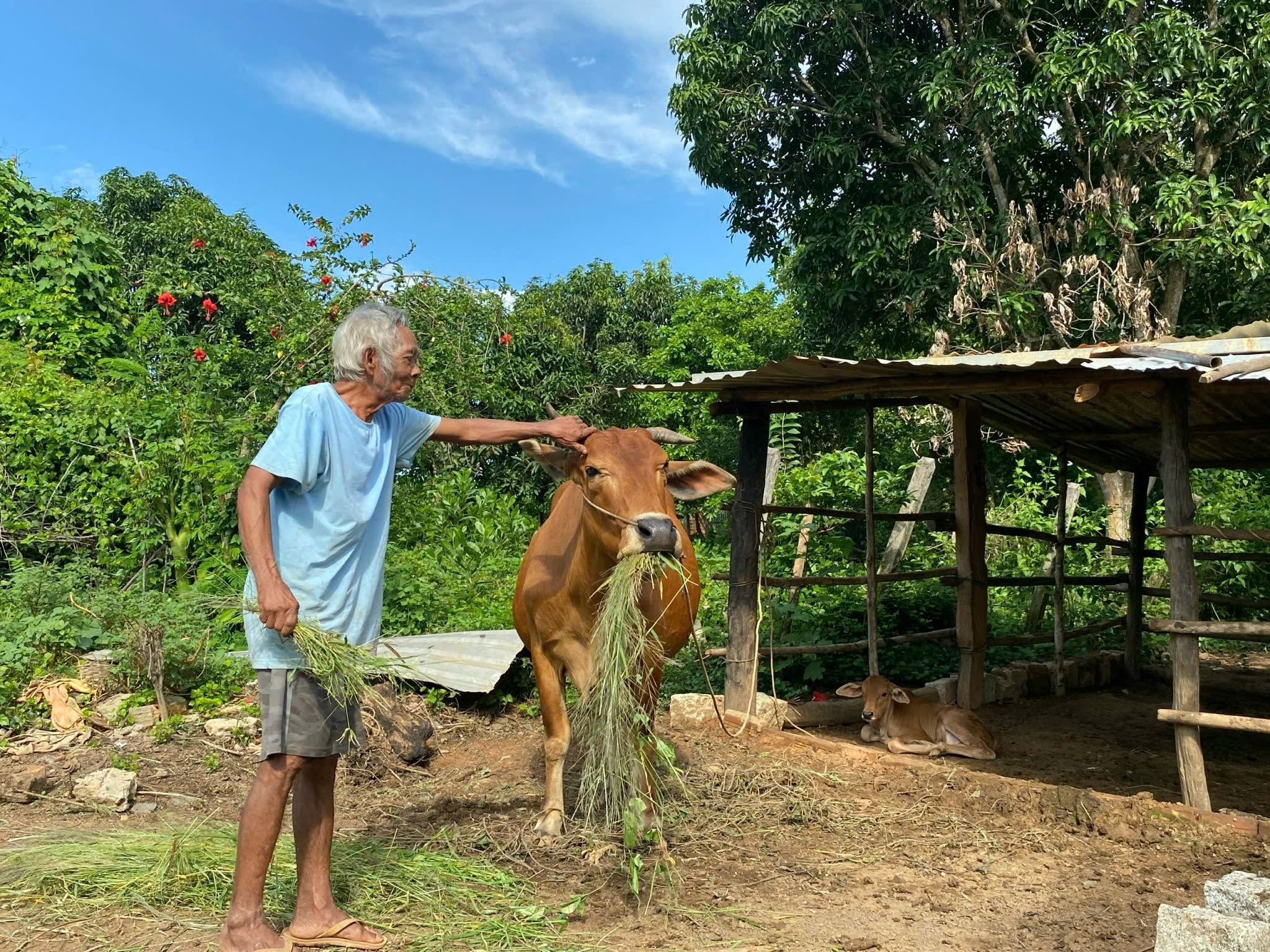 Xã Sông Cầu: Nhiều giải pháp hỗ trợ giảm nghèo cho người dân