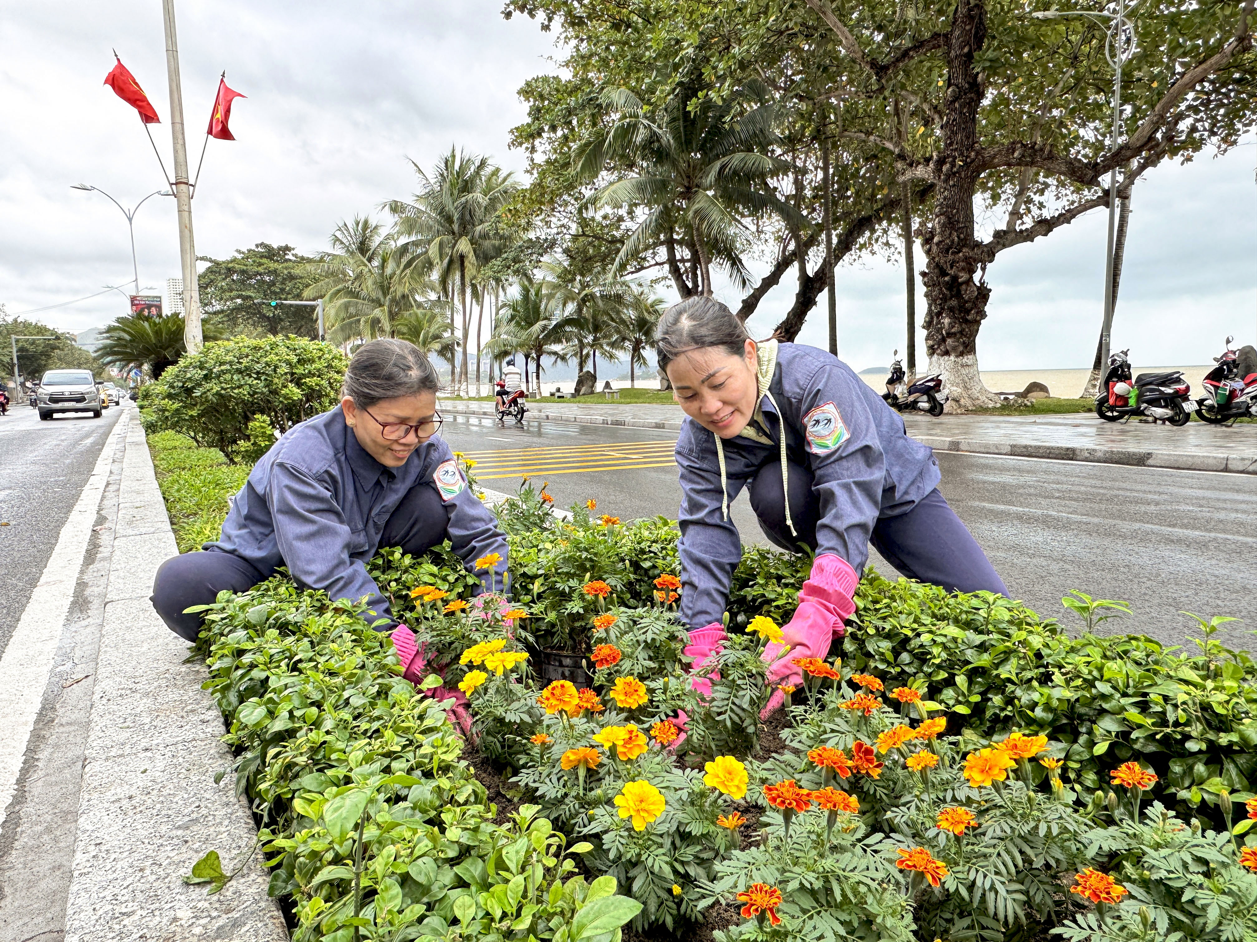 Trang hoàng cho thành phố thêm xuân