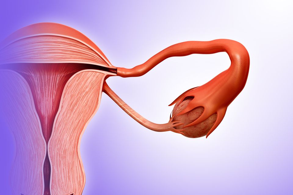 Robot siêu nhỏ mở ra hy vọng mới trong điều trị vô sinh