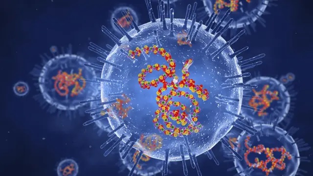 Nam Phi ra cảnh báo về bệnh rubella sau khi ghi nhận hơn 10.000 ca mắc