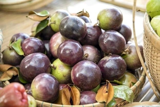 Lợi ích tuyệt vời của quả vú sữa nhiều người không biết