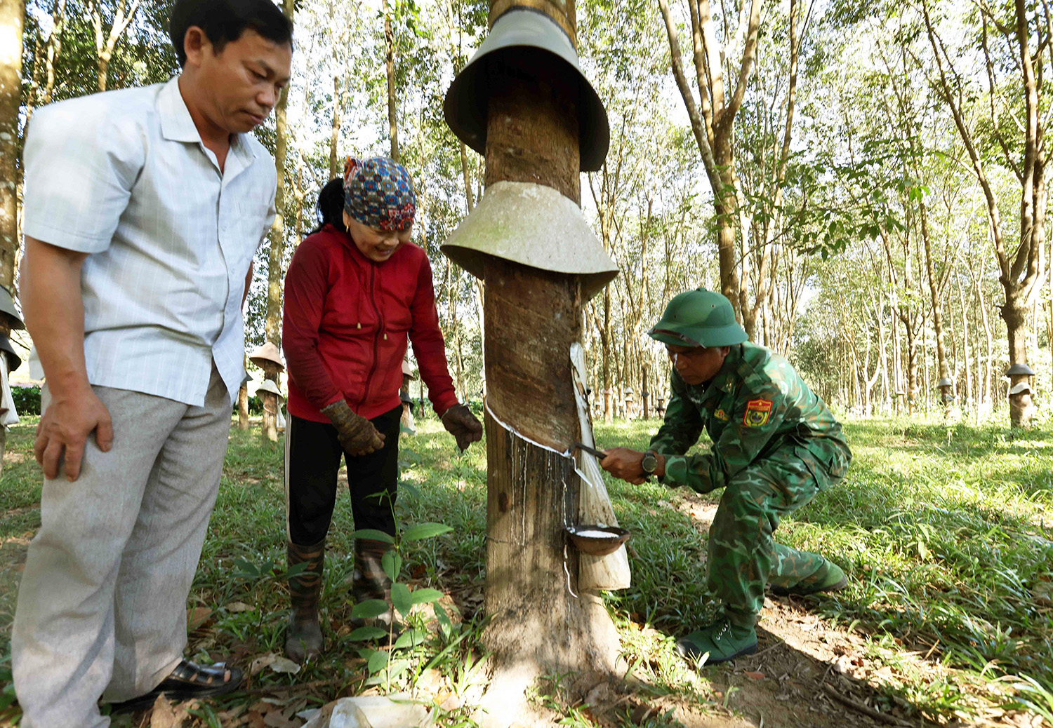 Cán bộ, chiến sĩ Đồn Biên phòng Đắc Xú hướng dẫn cách cạo mủ cao su cho đồng bào thôn Kei Joi, xã Đắc Xú, huyện Ngọc Hồi, tỉnh Kon Tum_Ảnh: TTXVN

