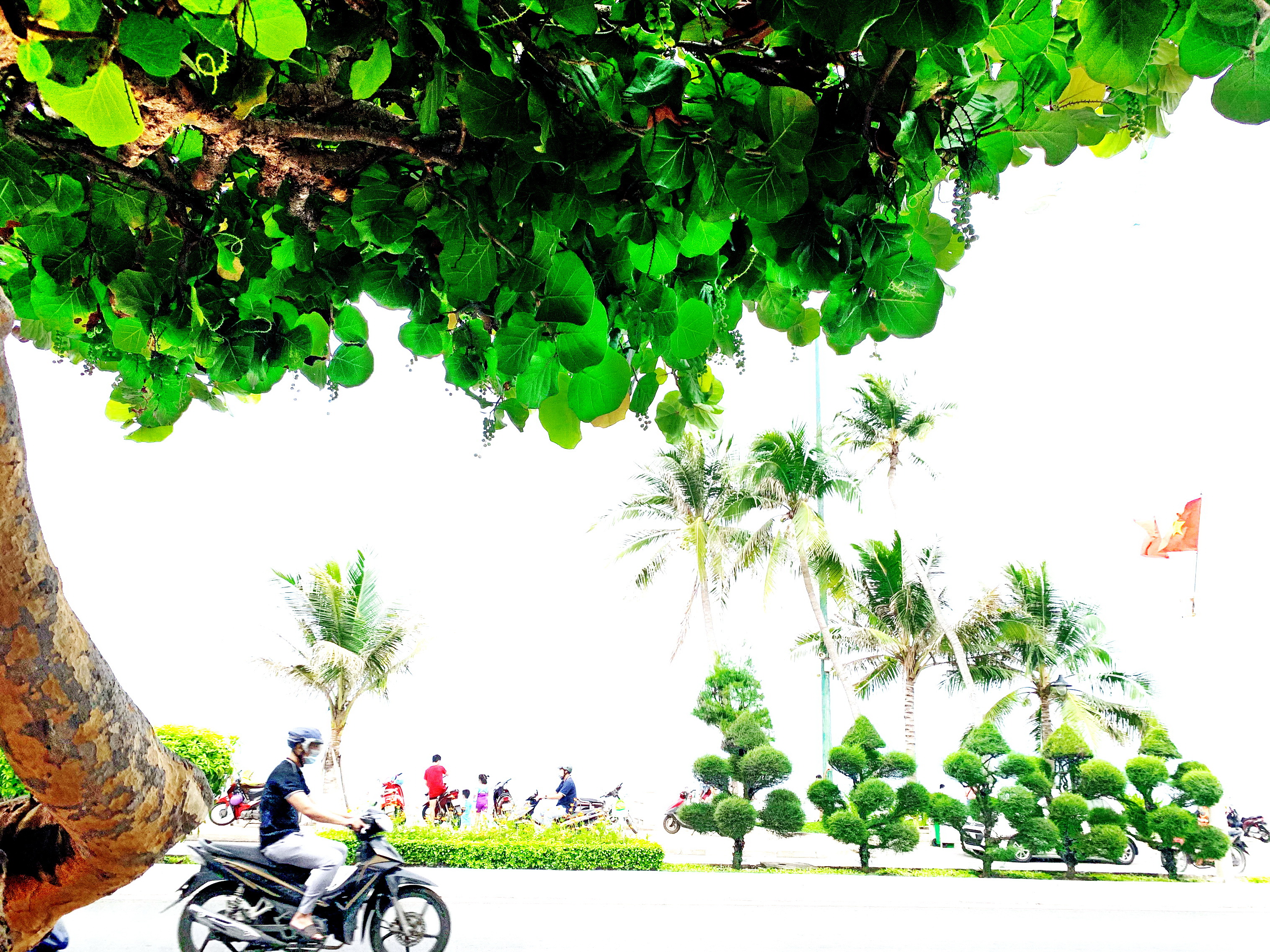 Những ngày không có nắng