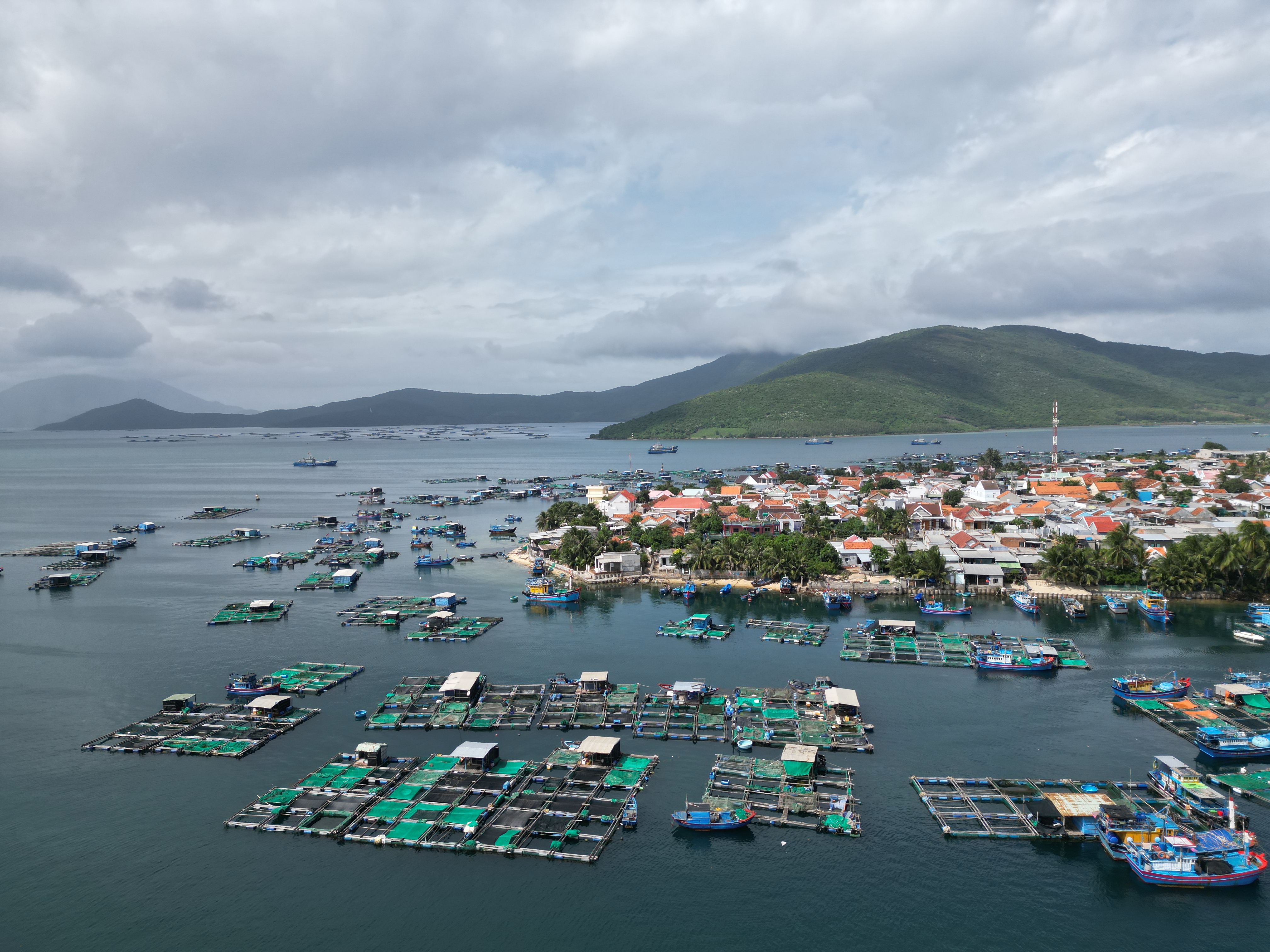 Đẩy nhanh tiến độ lập quy hoạch phân khu  