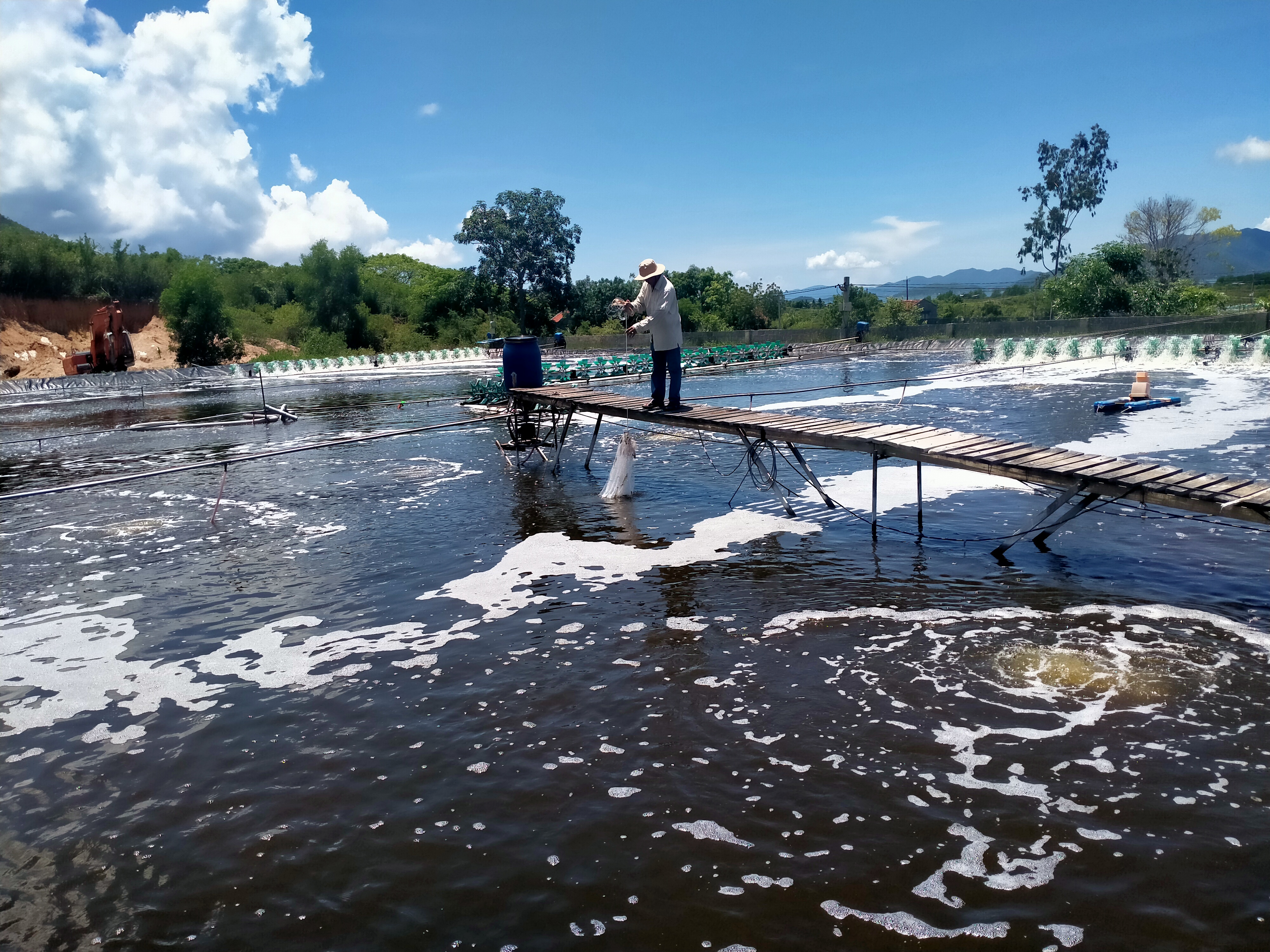 Người nuôi tôm cần tuân thủ lịch thời vụ