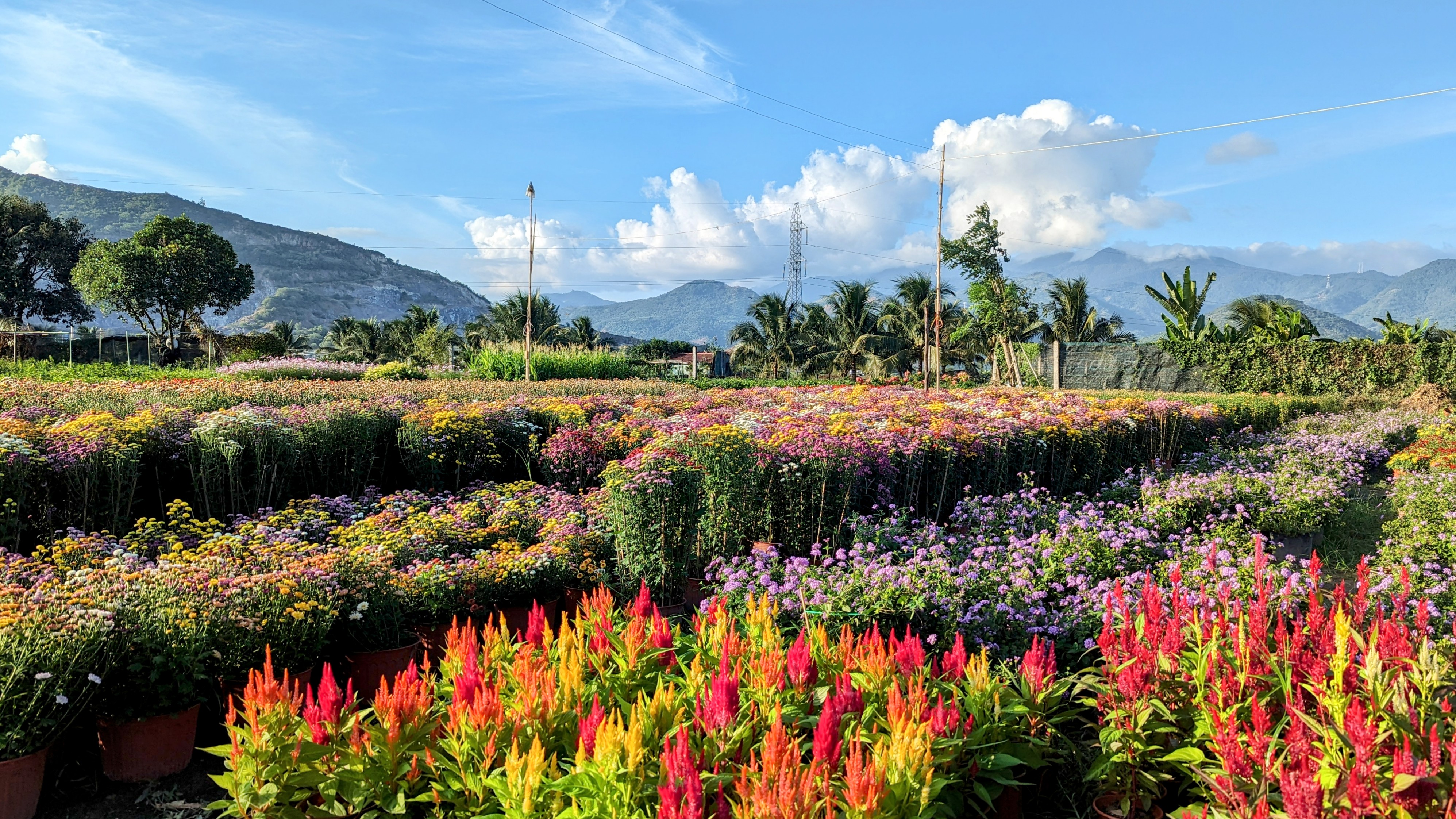 Những ngày cuối năm