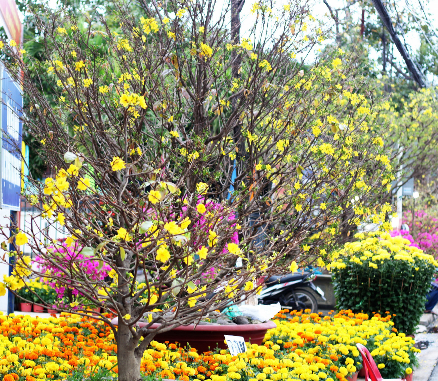 Chuẩn bị tốt nhất các điều kiện phục vụ nhân dân vui xuân, đón Tết Nguyên đán Ất Tỵ 2025