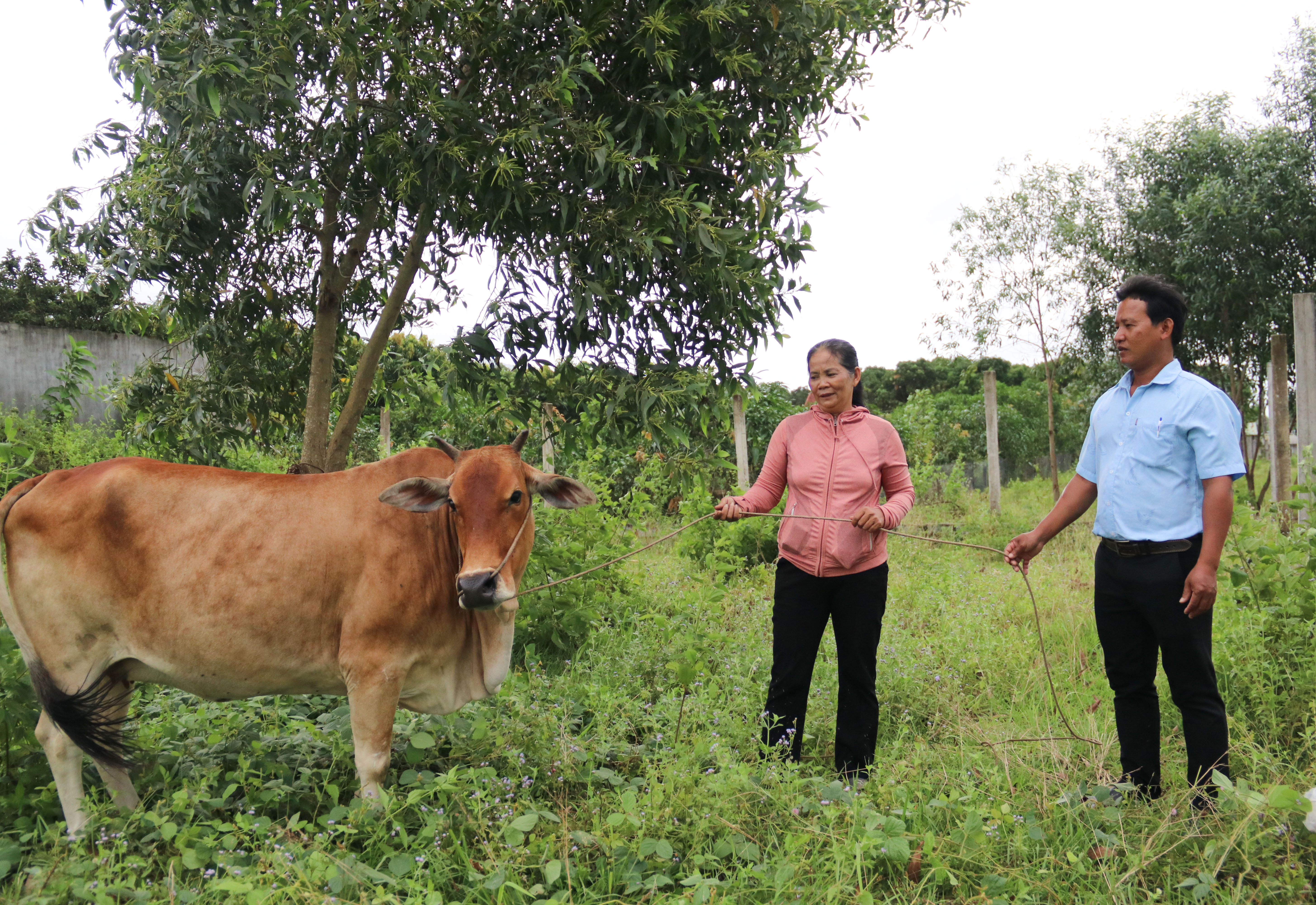 Cam Lâm: Chăm lo đời sống cho đồng bào dân tộc thiểu số